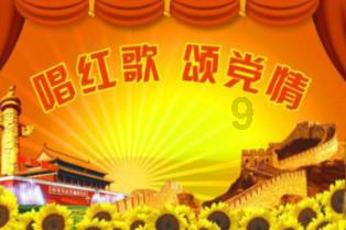 见缝插刀2